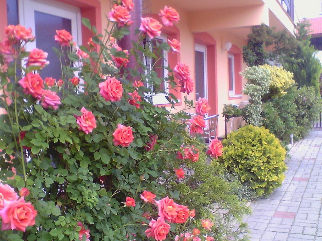 Penzion Areal Zamma Rožňava Exterior foto